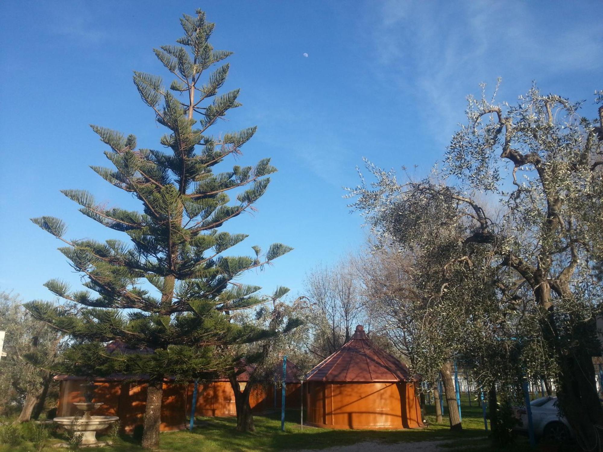 Mattinata Camping Bagian luar foto